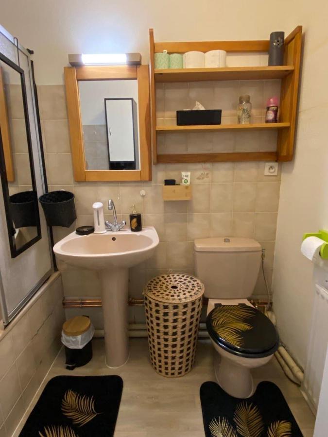 שטרסבורג Appartement Esplanade מראה חיצוני תמונה